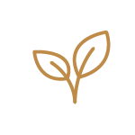 Goldenes Icon, das ein Pflanzensprössling zeigt
